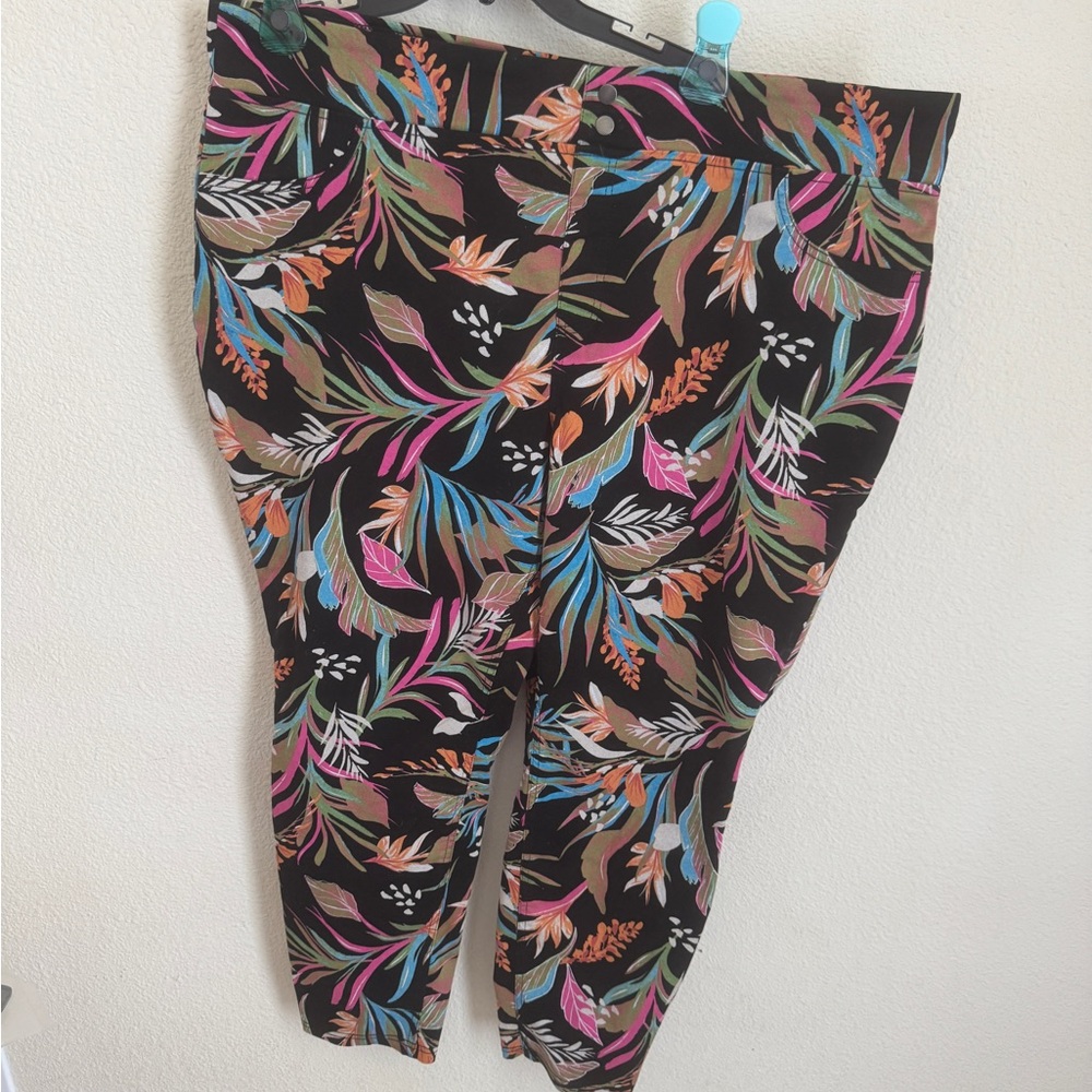 Terra & Sky Black Ankle Cropped Pants